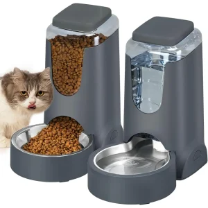 Feeder and Water Dispenser Combo