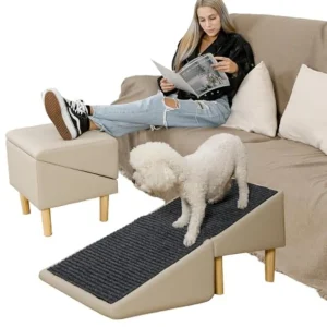 All-in-One Ottoman/Dog Ramp